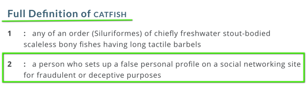 Catfish Definition