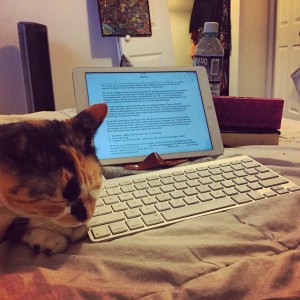 My cat can't read, she prefers pets versus blog post from me. 